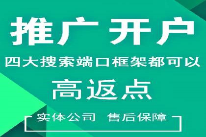 案例分析：百度推广成功案例解析
